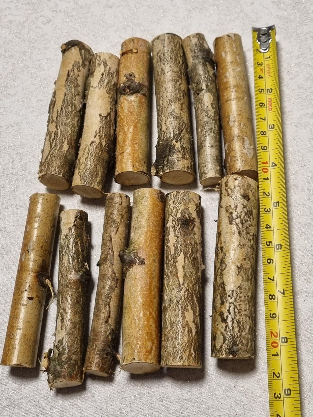 12 Pack Birch Wood Logs / Twigs for Reptile Tank, Aquarium Decor, Small Pet Chews