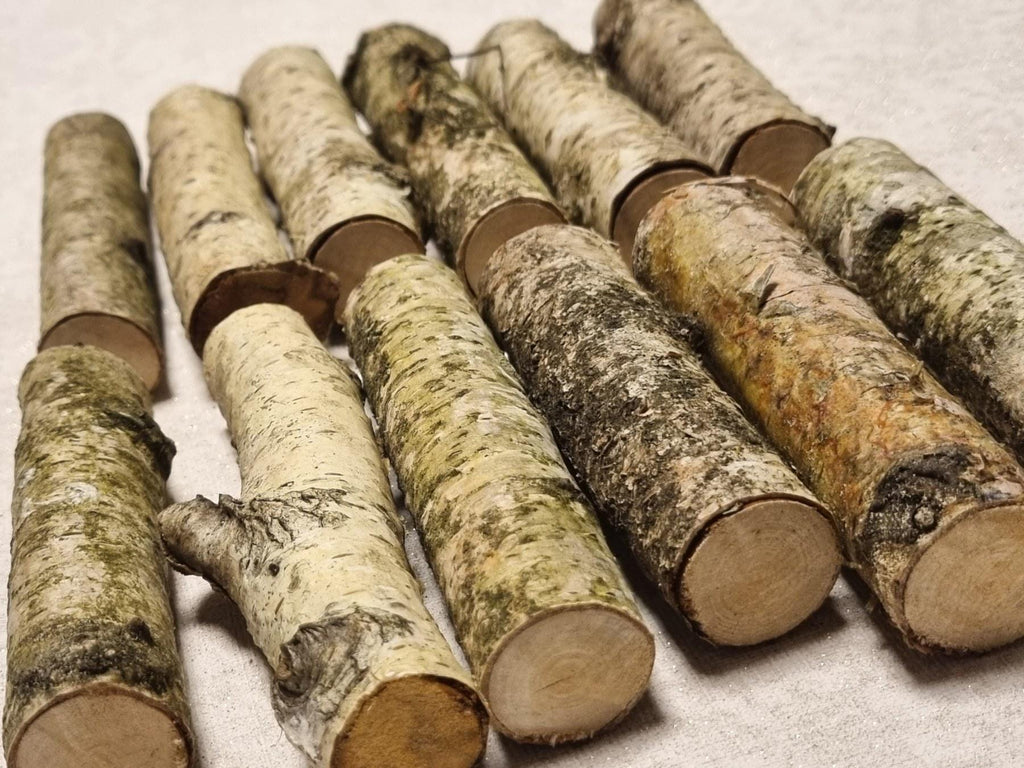 Birch Wood Sticks – Small Logs for Arts, Crafts, 12-Piece Set, Untreated Lithuanian Wood