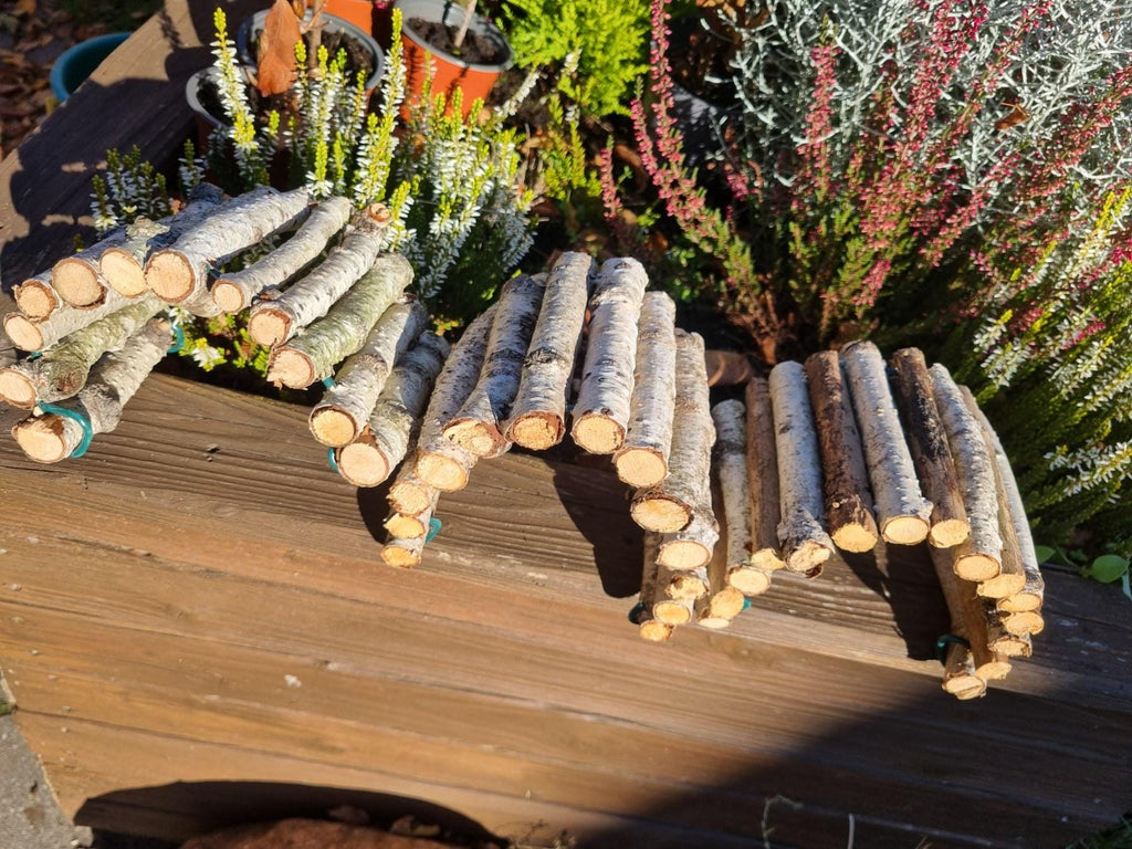 Natural Bendy Birch Wood Ladder/Tunnel – Safe Chew Toy for Hamsters, Mice, Birds