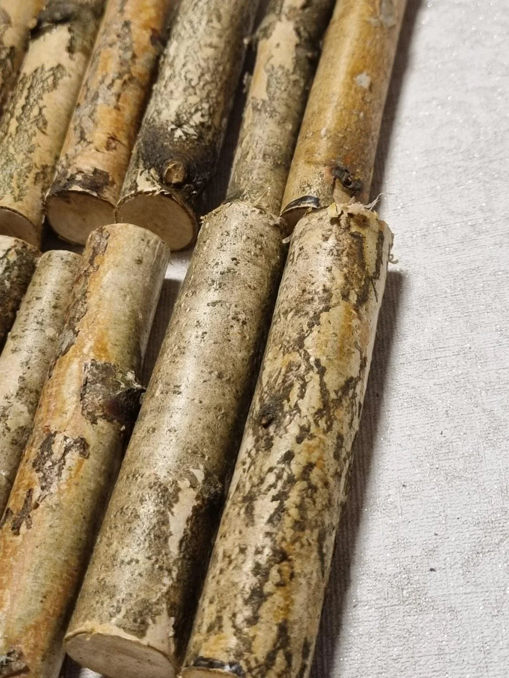 12 Pack Birch Wood Logs / Twigs for Reptile Tank, Aquarium Decor, Small Pet Chews