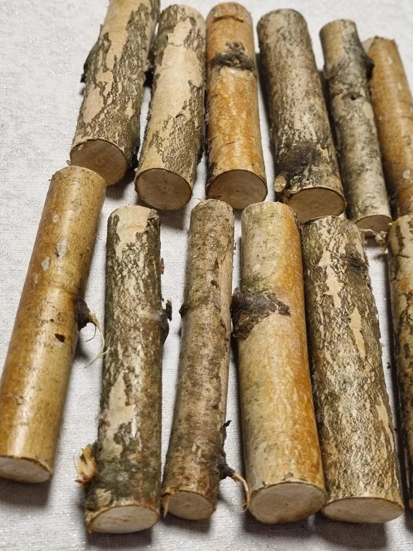 12 Pack Birch Wood Logs / Twigs for Reptile Tank, Aquarium Decor, Small Pet Chews