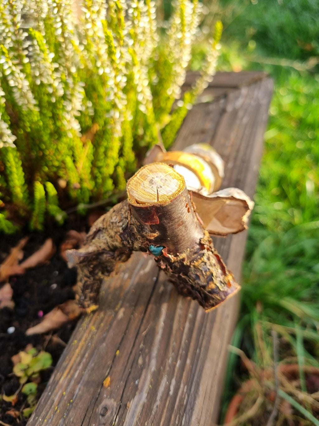 Hanging Chew Toy for Rabbits  Rodents | Natural Birch & Cherry Wood Cage Decor