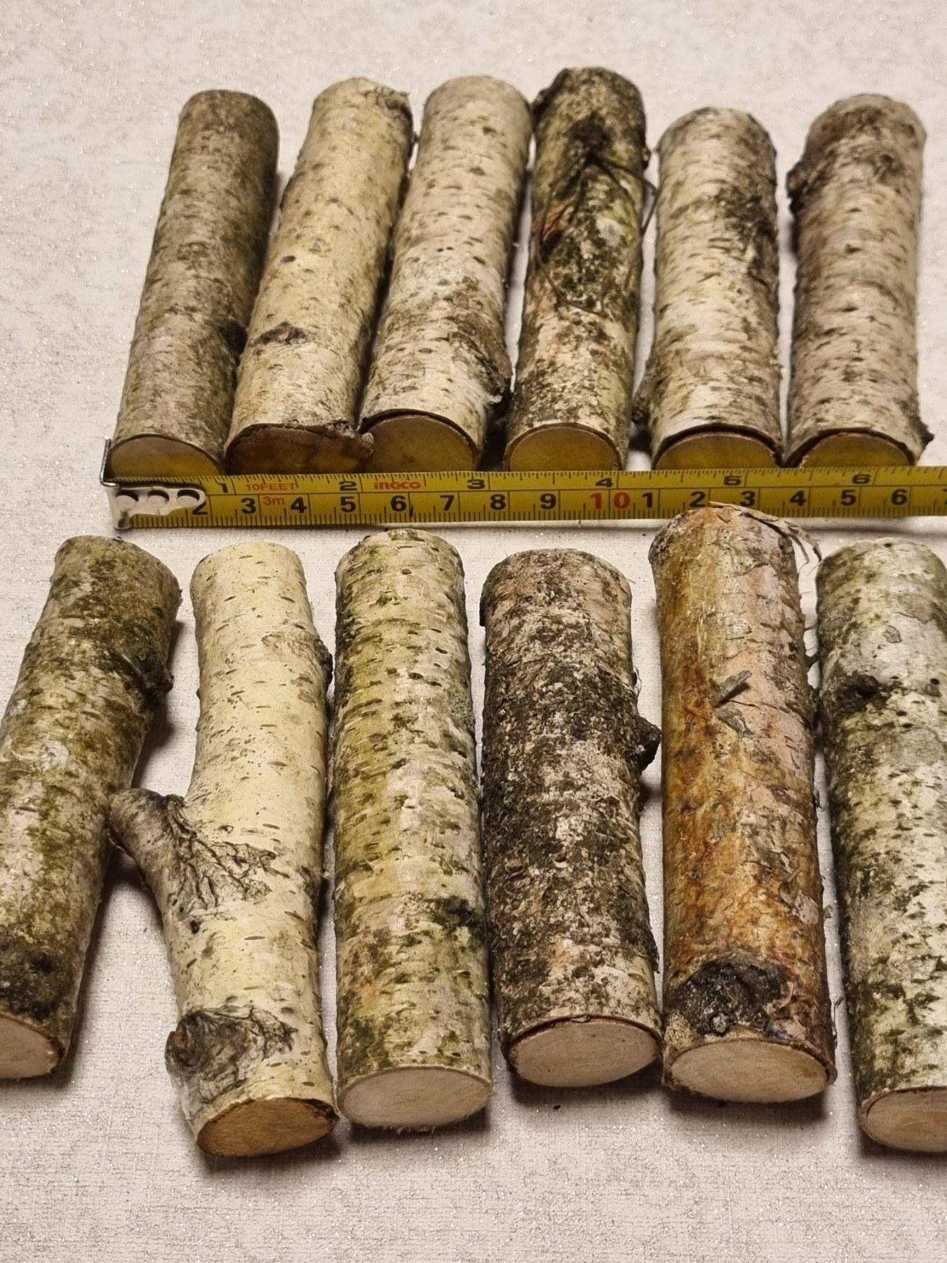 Birch Wood Sticks – Small Logs for Arts, Crafts, 12-Piece Set, Untreated Lithuanian Wood