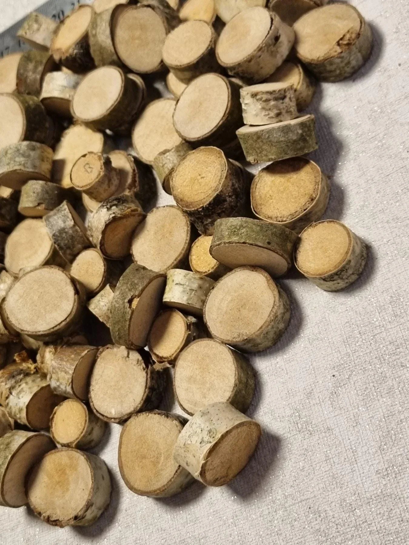 150 Birch Wood Slices with Bark | Rustic Small Wood Discs for Crafts