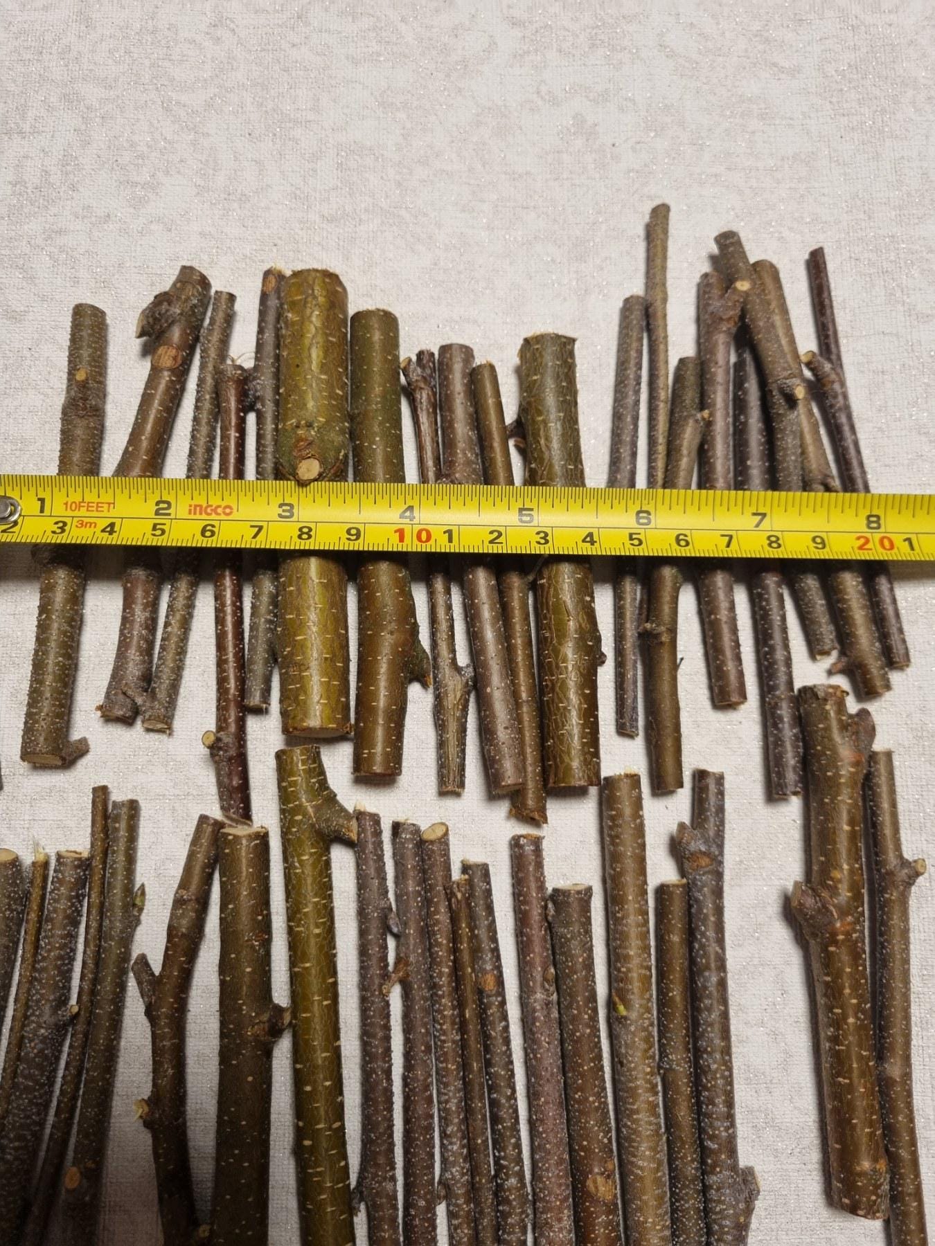 Small Birch Twigs – 60 Pack, 4 Inch Wood Sticks for Crafts