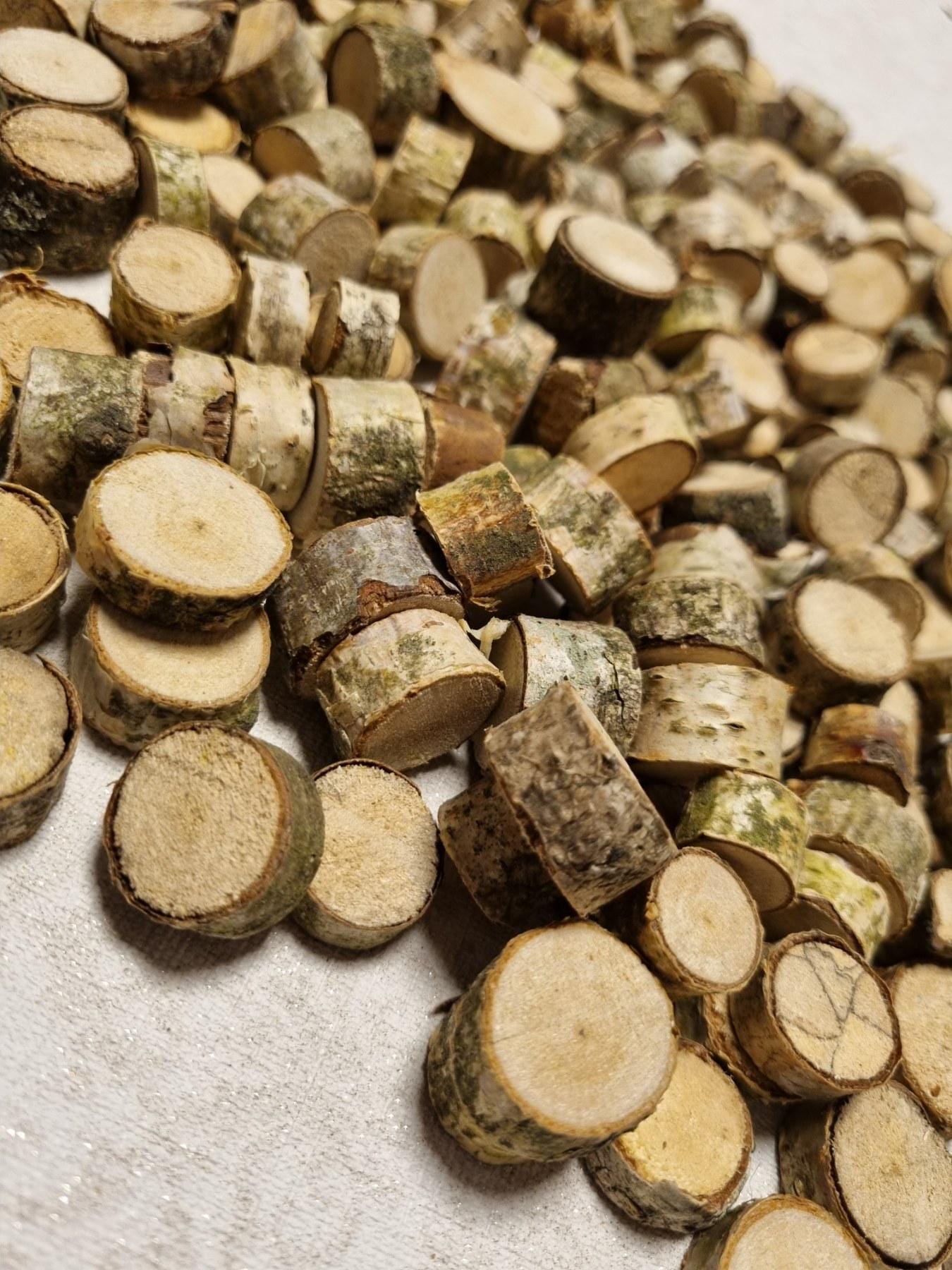 Tiny Birch Wood Slices Bulk Set | Mini Log Discs for Fairy Garden, Dollhouse Miniatures