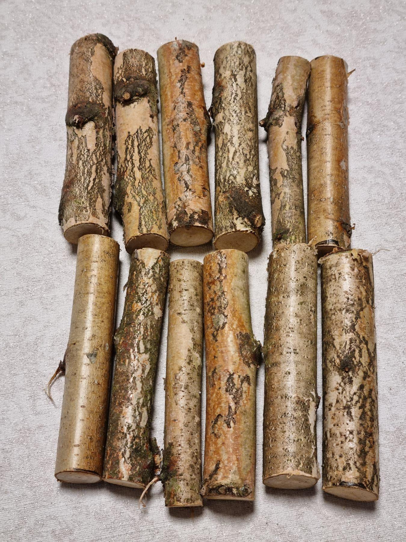 12 Pack Birch Wood Logs / Twigs for Reptile Tank, Aquarium Decor, Small Pet Chews