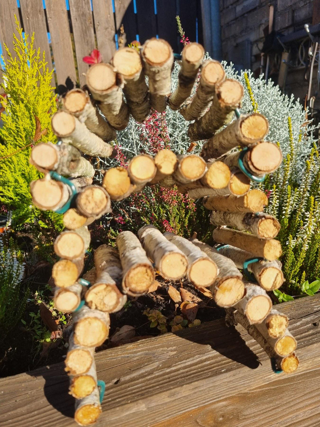 Natural Bendy Birch Wood Ladder/Tunnel – Safe Chew Toy for Hamsters, Mice, Birds