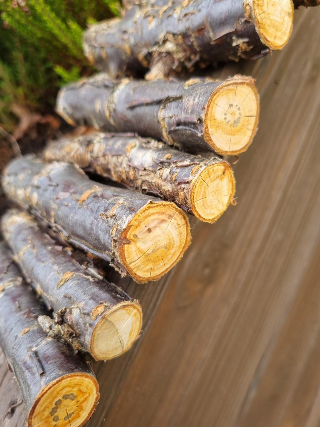 Cherry Wood Chew Sticks for Rabbits, Hamsters, Chinchillas, and Parrots - Natural Wood Gnaw Toys