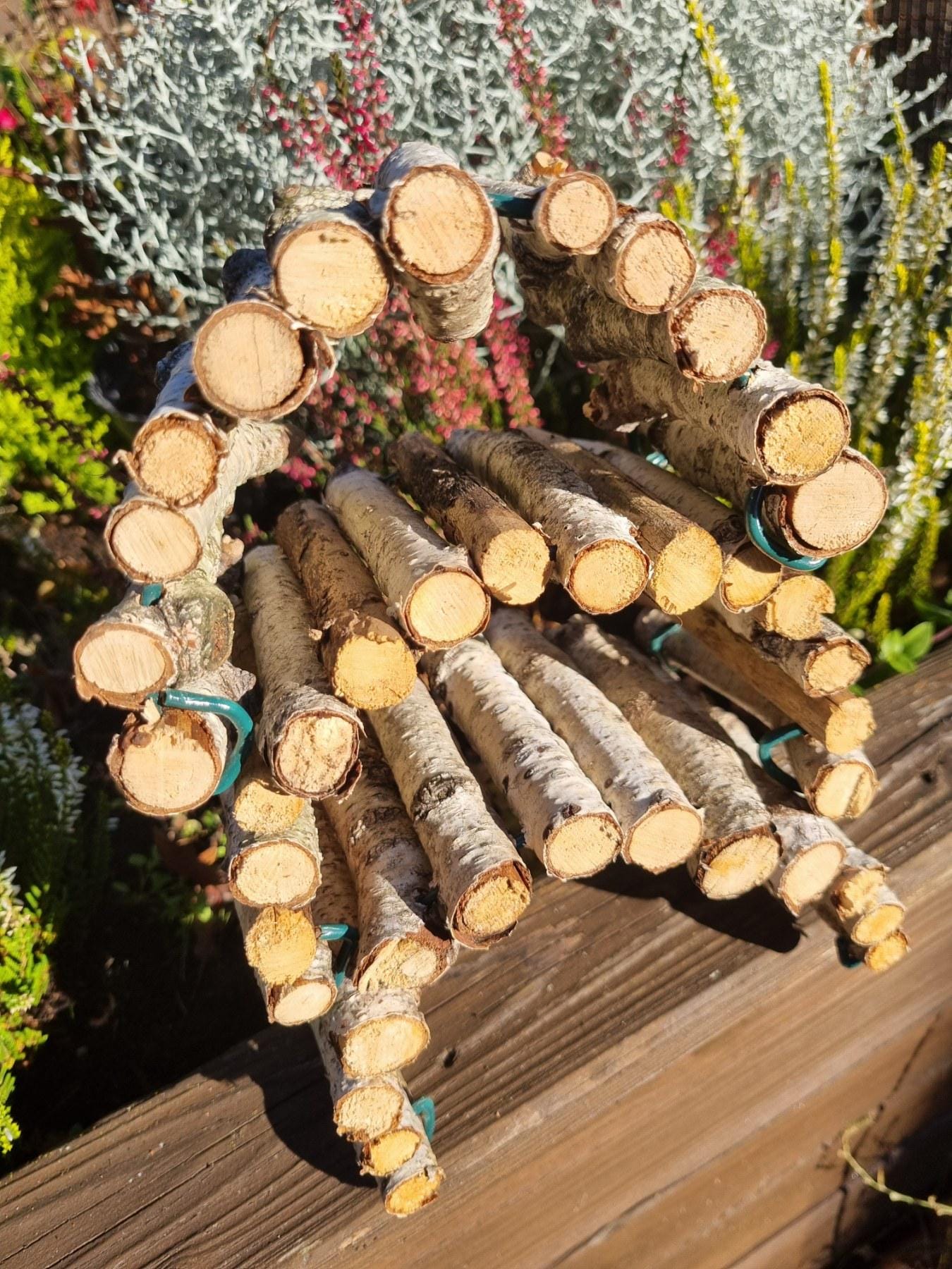 Natural Bendy Birch Wood Ladder/Tunnel – Safe Chew Toy for Hamsters, Mice, Birds