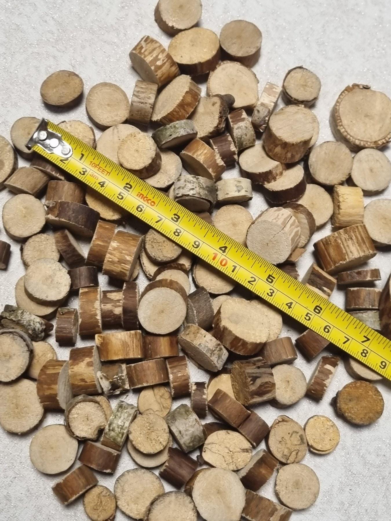 130 Small Birch Wood Slices – Barkless Craft Rounds