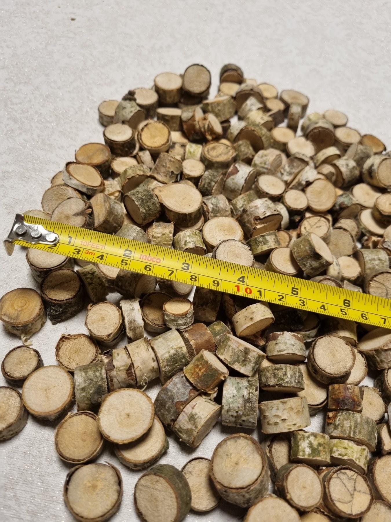 Tiny Birch Wood Slices Bulk Set | Mini Log Discs for Fairy Garden, Dollhouse Miniatures