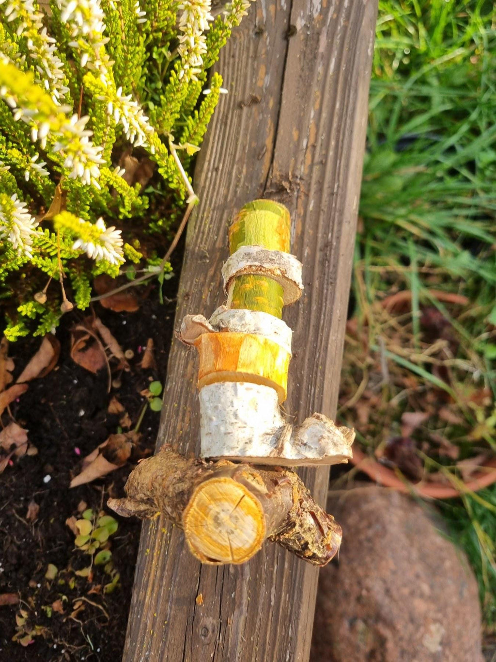 Hanging Chew Toy for Rabbits  Rodents | Natural Birch & Cherry Wood Cage Decor