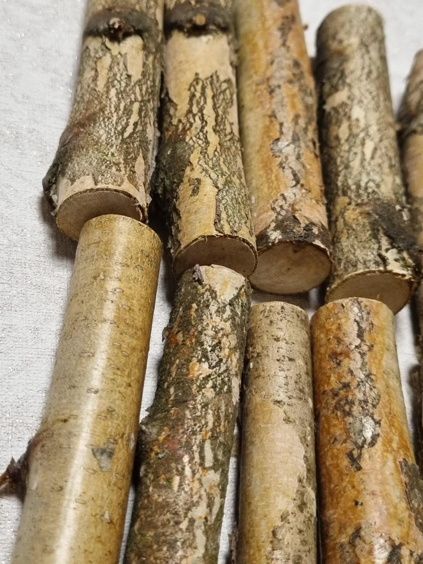 12 Pack Birch Wood Logs / Twigs for Reptile Tank, Aquarium Decor, Small Pet Chews