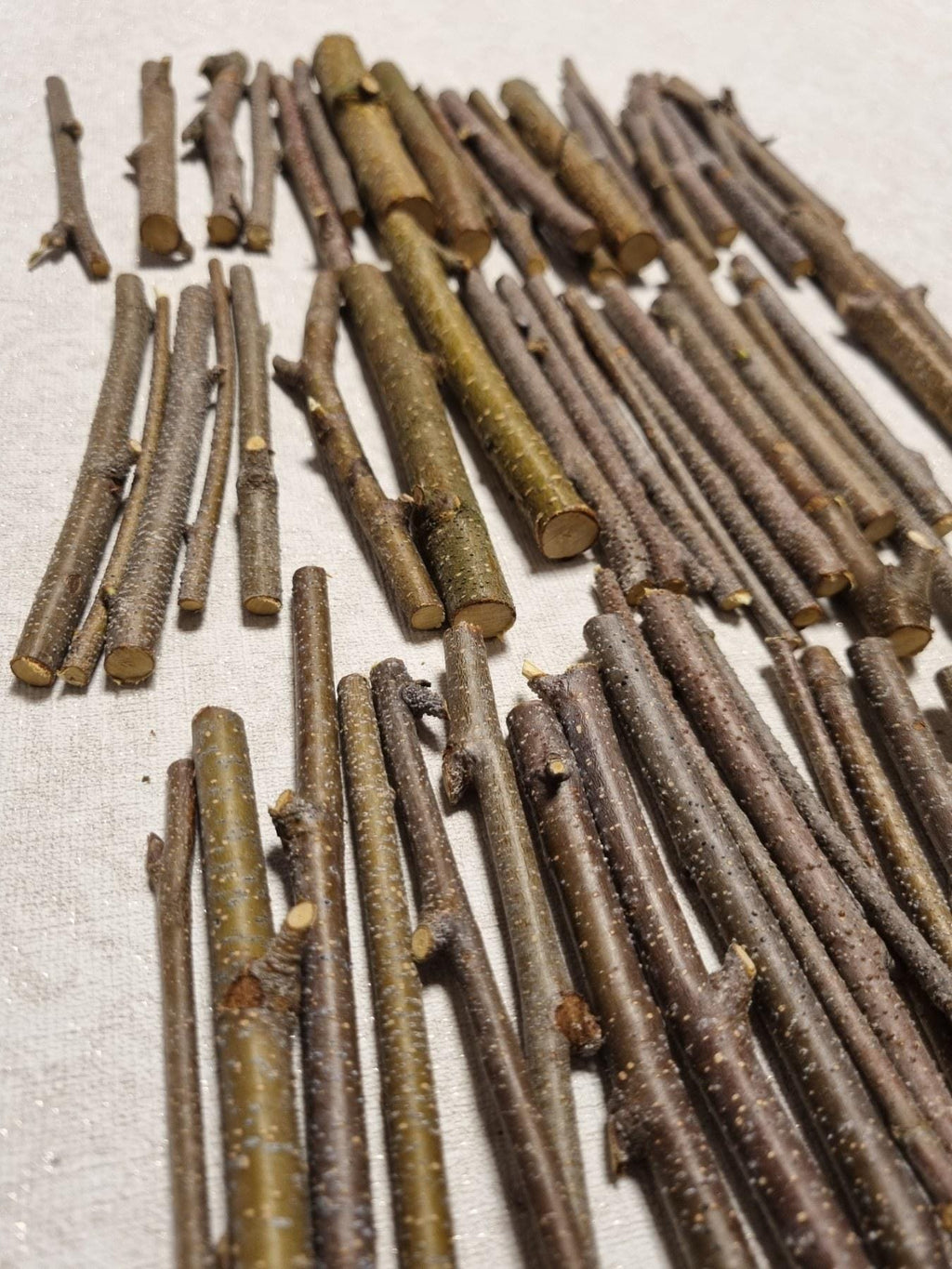 Small Birch Twigs – 60 Pack, 4 Inch Wood Sticks for Crafts