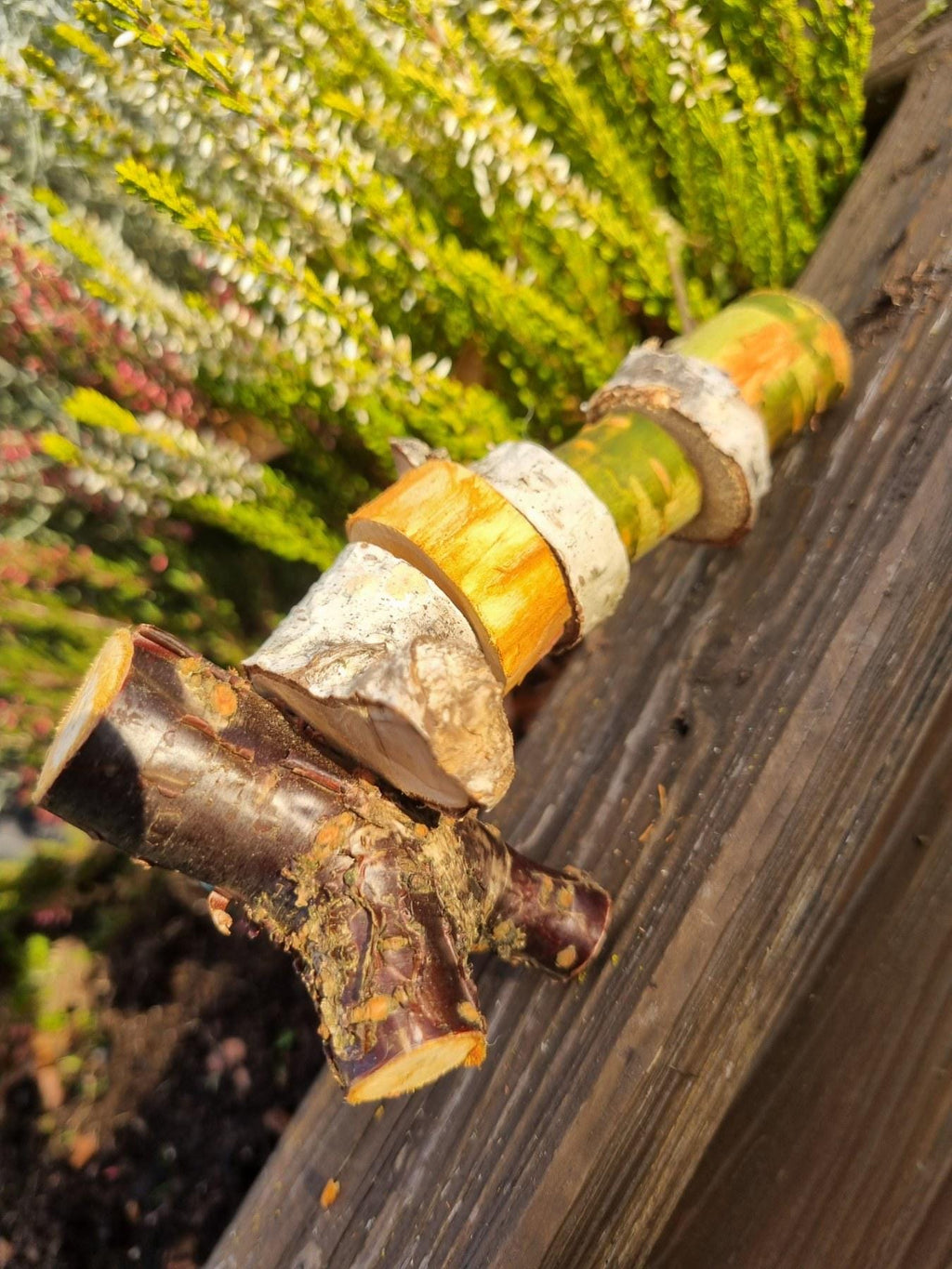 Hanging Chew Toy for Rabbits  Rodents | Natural Birch & Cherry Wood Cage Decor