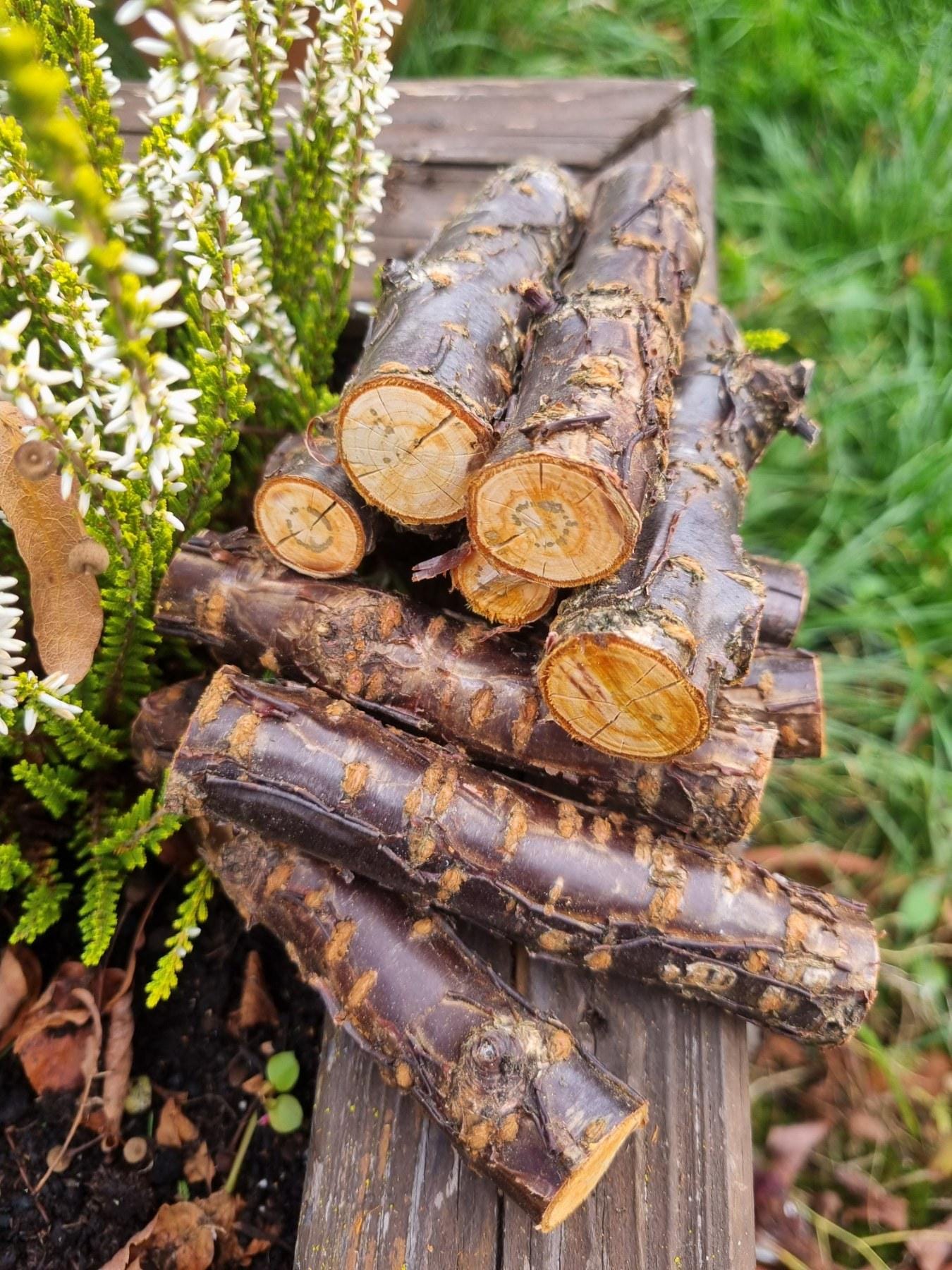 Cherry Wood Chew Sticks for Rabbits, Hamsters, Chinchillas, and Parrots - Natural Wood Gnaw Toys