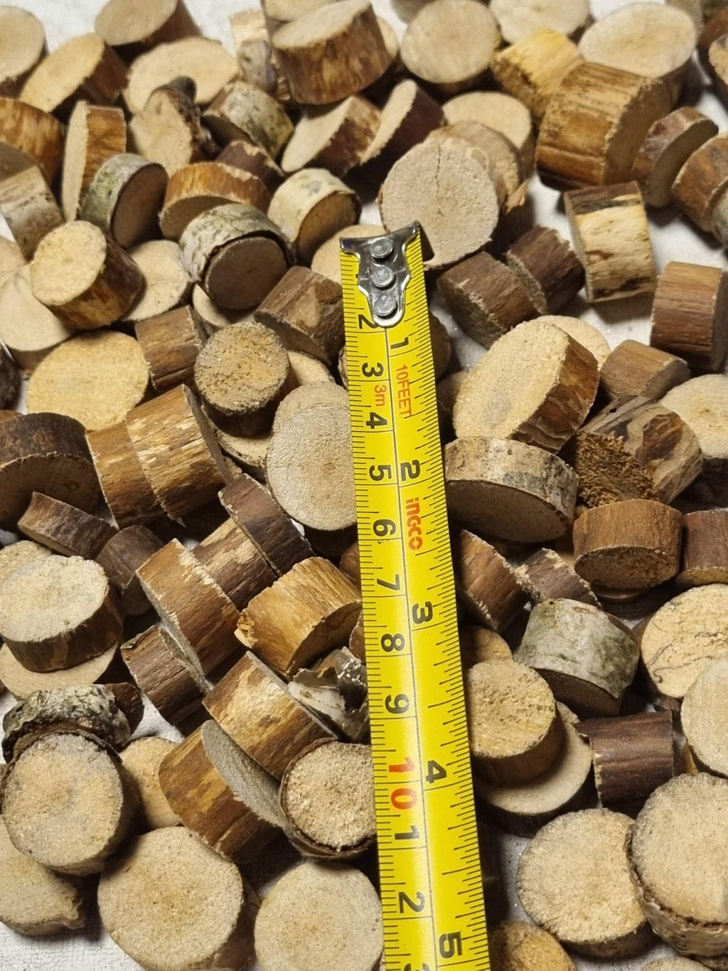 130 Small Birch Wood Slices – Barkless Craft Rounds