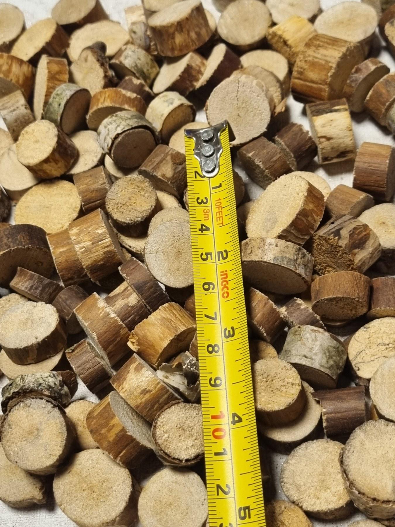 130 Small Birch Wood Slices – Barkless Craft Rounds