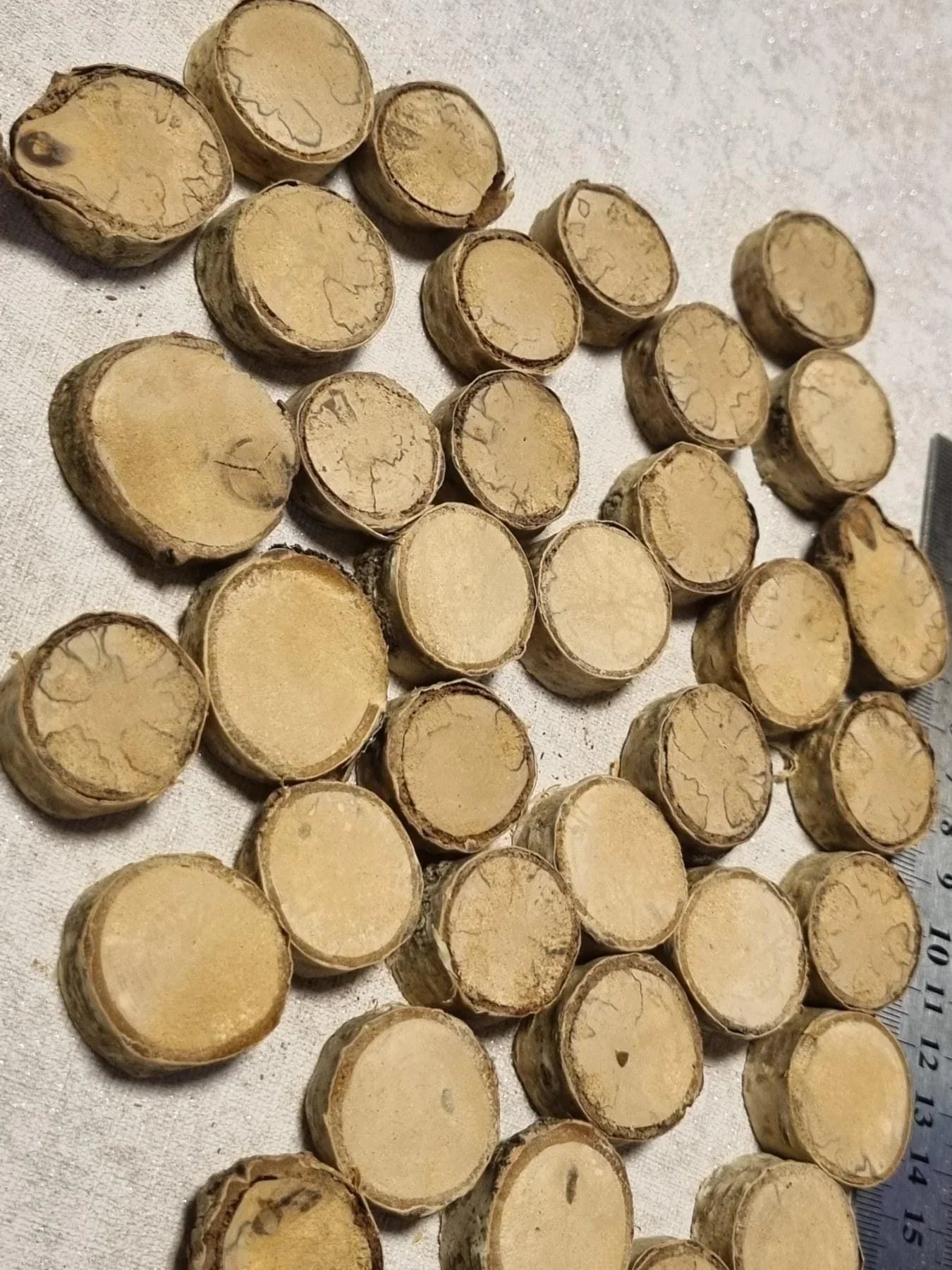 Set of 35 Dried Birch Wood Slices for Crafts - Smooth & Polished Natural Wooden Circles - Rustic Wedding Decor