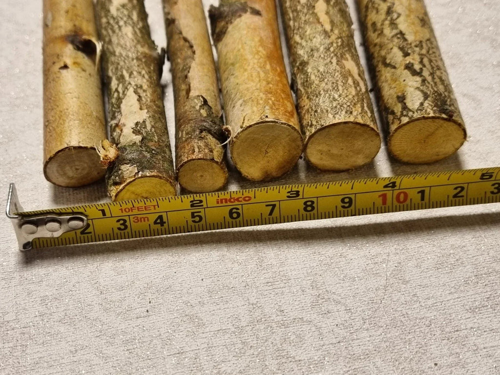 12 Pack Birch Wood Logs / Twigs for Reptile Tank, Aquarium Decor, Small Pet Chews