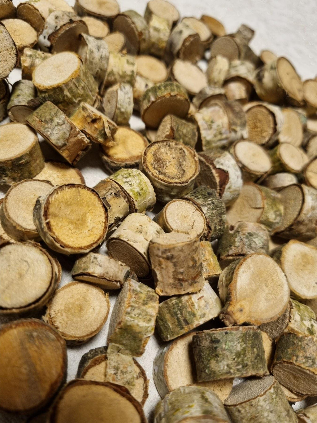 Tiny Birch Wood Slices Bulk Set | Mini Log Discs for Fairy Garden, Dollhouse Miniatures