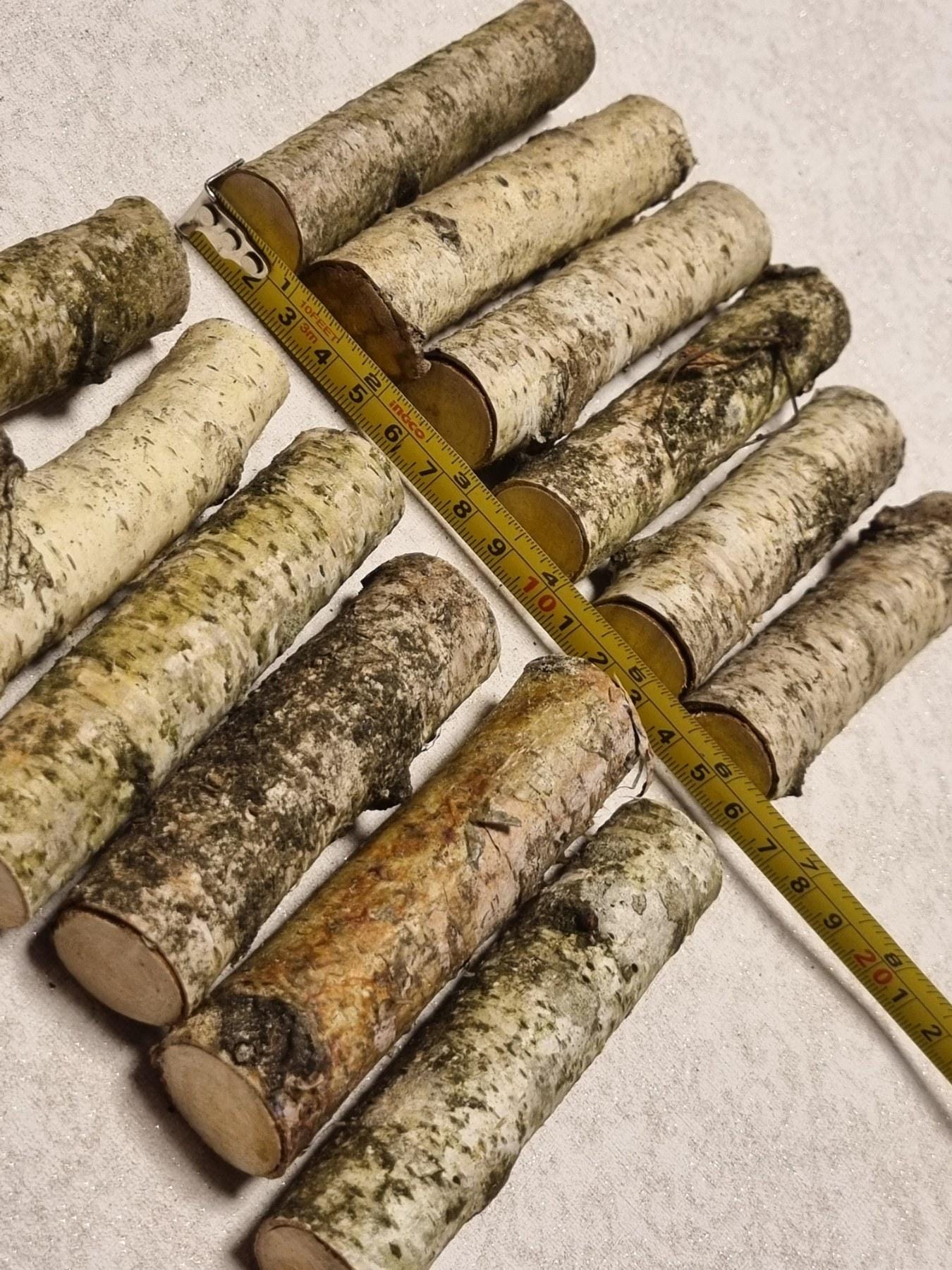 Birch Wood Sticks – Small Logs for Arts, Crafts, 12-Piece Set, Untreated Lithuanian Wood