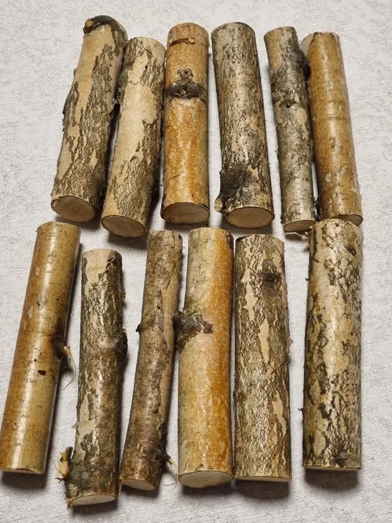 12 Pack Birch Wood Logs / Twigs for Reptile Tank, Aquarium Decor, Small Pet Chews