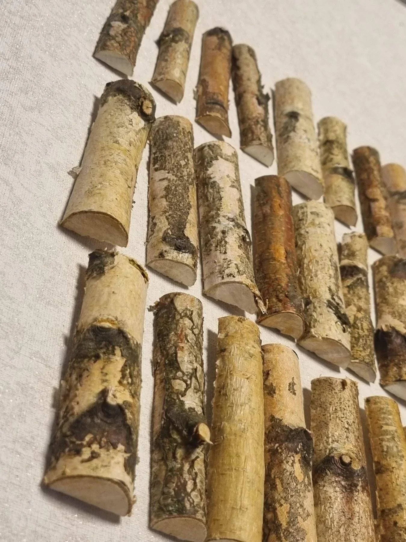 Natural Silver Birch Wood Logs Half Round Branches for Crafts, 4" Birch Sticks with Bark, Rustic Wedding Decor, DIY Wood Supplies