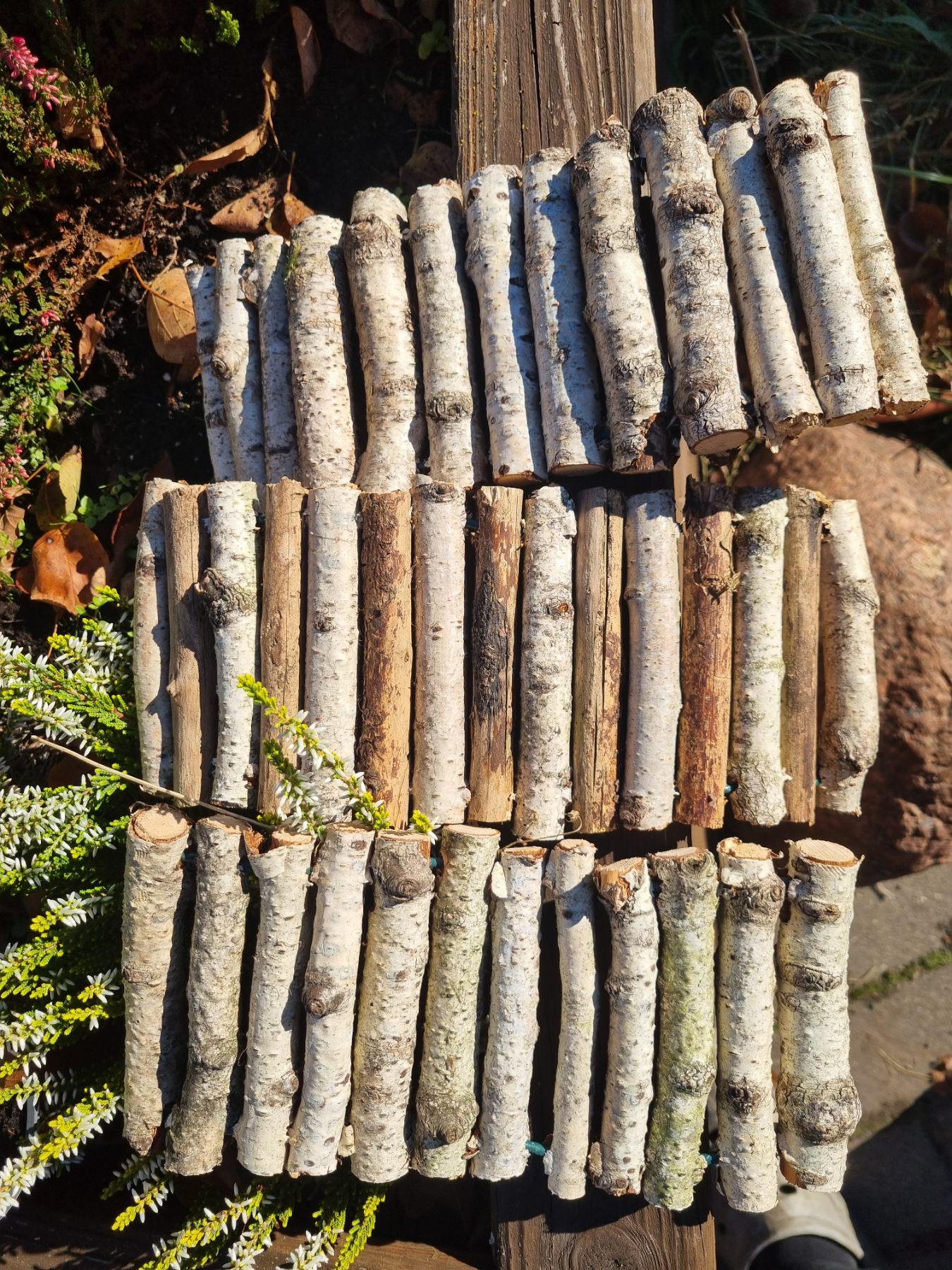 Natural Bendy Birch Wood Ladder/Tunnel – Safe Chew Toy for Hamsters, Mice, Birds