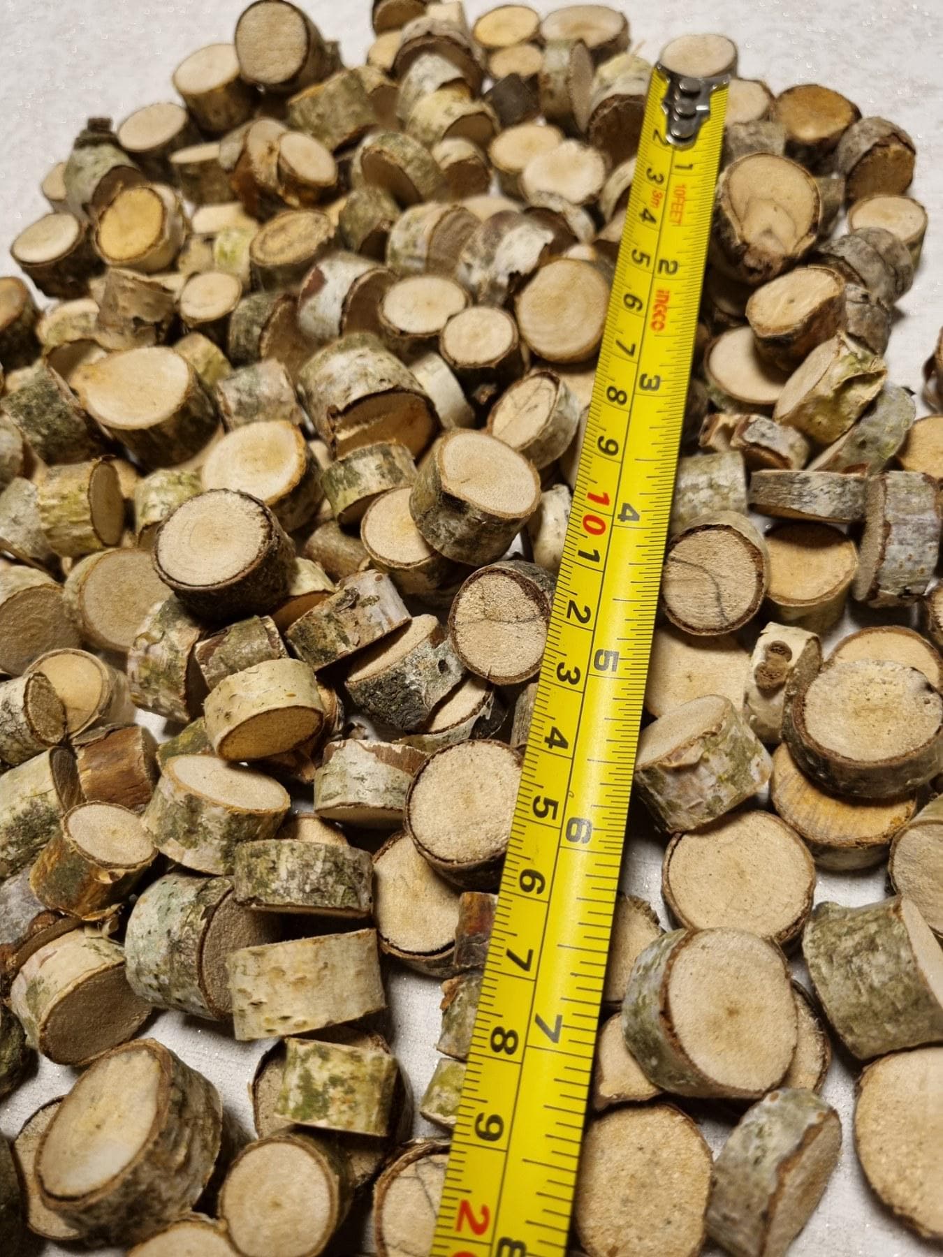Tiny Birch Wood Slices Bulk Set | Mini Log Discs for Fairy Garden, Dollhouse Miniatures
