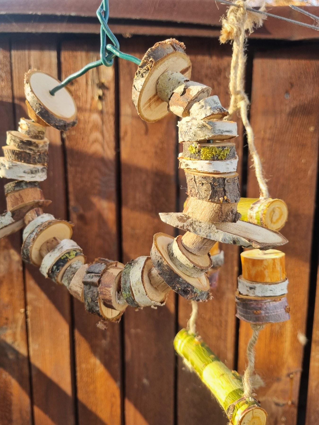 Hanging Bird Cage Enrichment Toy Bundle | Rodent Teeth Grinder (Birch/Plum/Cherry)