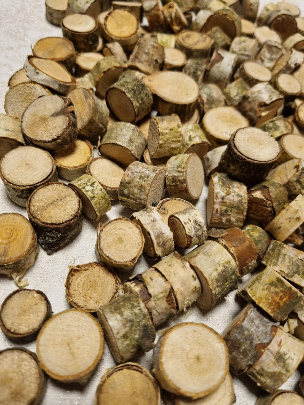 Tiny Birch Wood Slices Bulk Set | Mini Log Discs for Fairy Garden, Dollhouse Miniatures