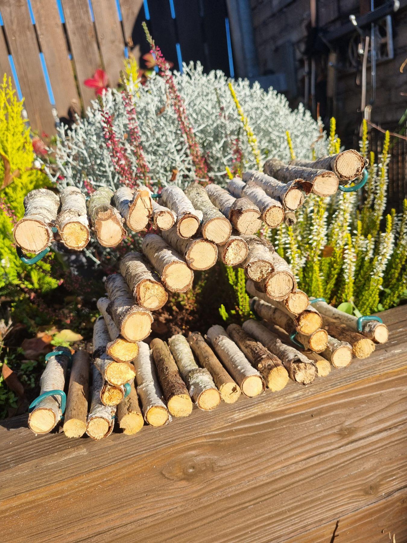 Natural Bendy Birch Wood Ladder/Tunnel – Safe Chew Toy for Hamsters, Mice, Birds