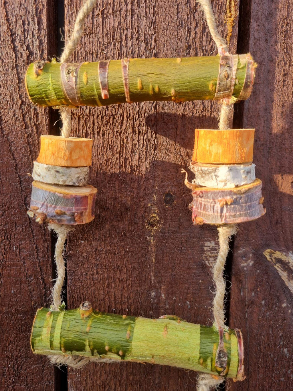 Hanging Bird Cage Enrichment Toy Bundle | Rodent Teeth Grinder (Birch/Plum/Cherry)