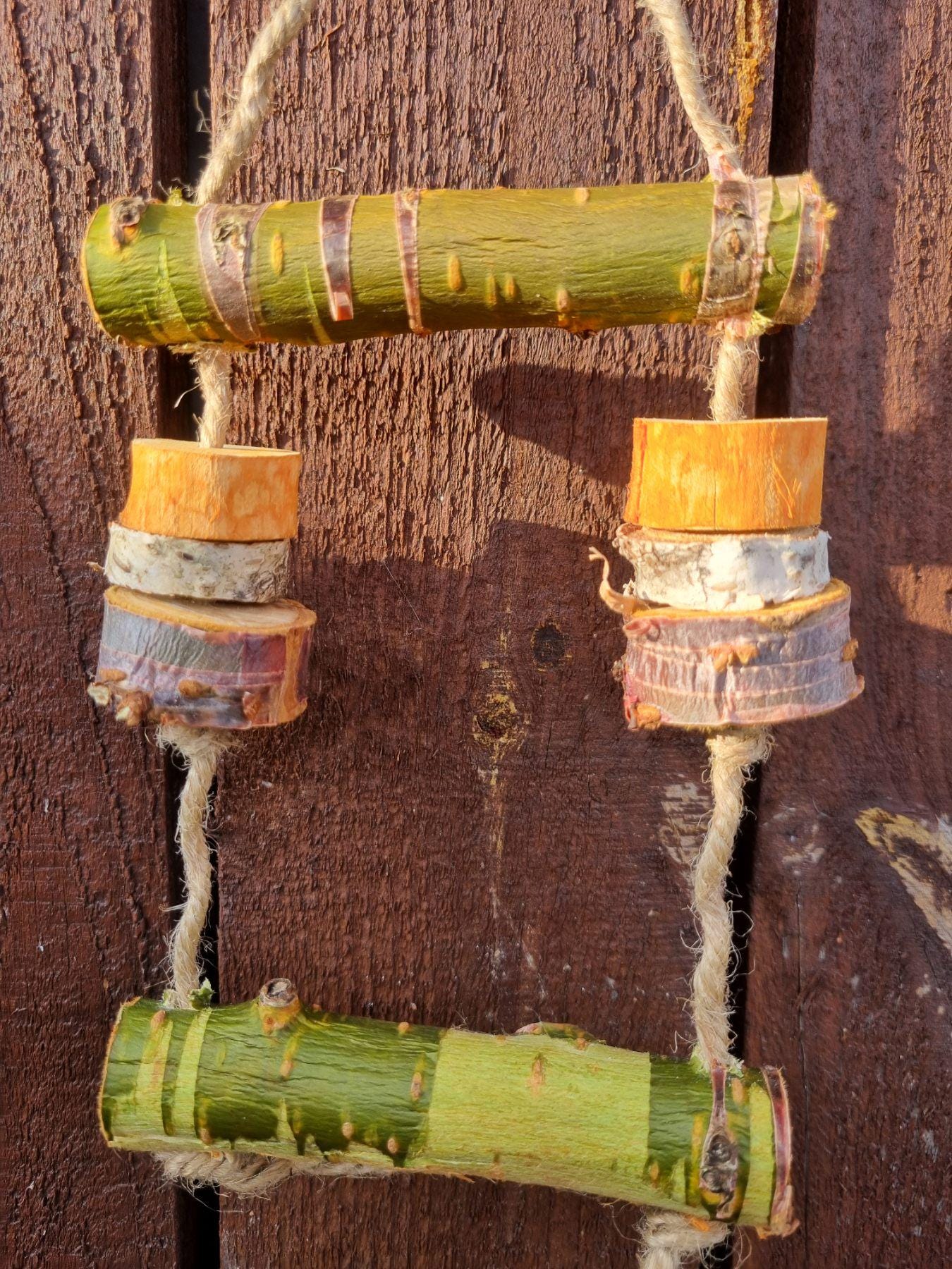 Hanging Bird Cage Enrichment Toy Bundle | Rodent Teeth Grinder (Birch/Plum/Cherry)