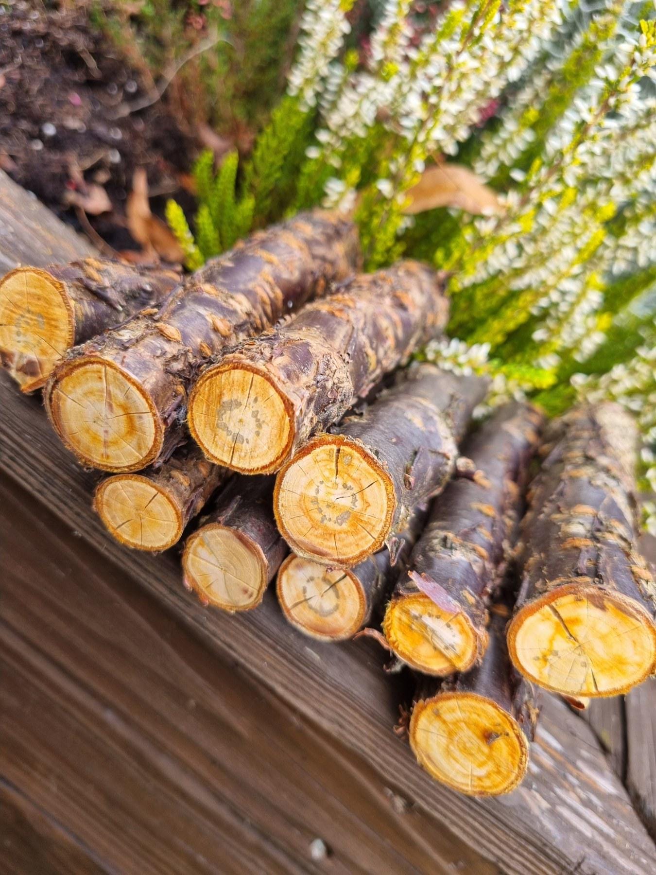 Cherry Wood Chew Sticks for Rabbits, Hamsters, Chinchillas, and Parrots - Natural Wood Gnaw Toys