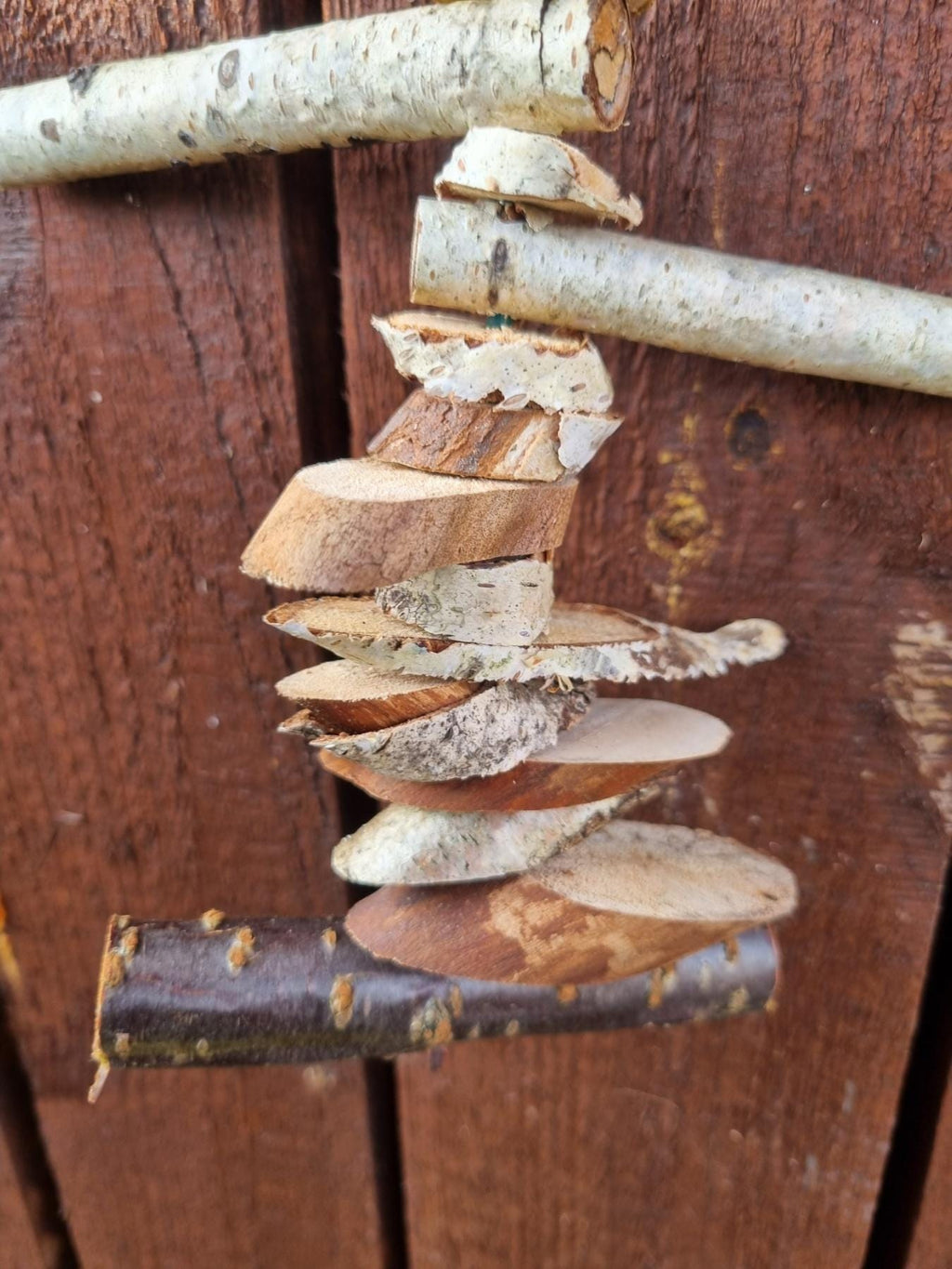 Bird Chew Toy for Canaries & Parakeets | Hanging Birch - Cherry Wood