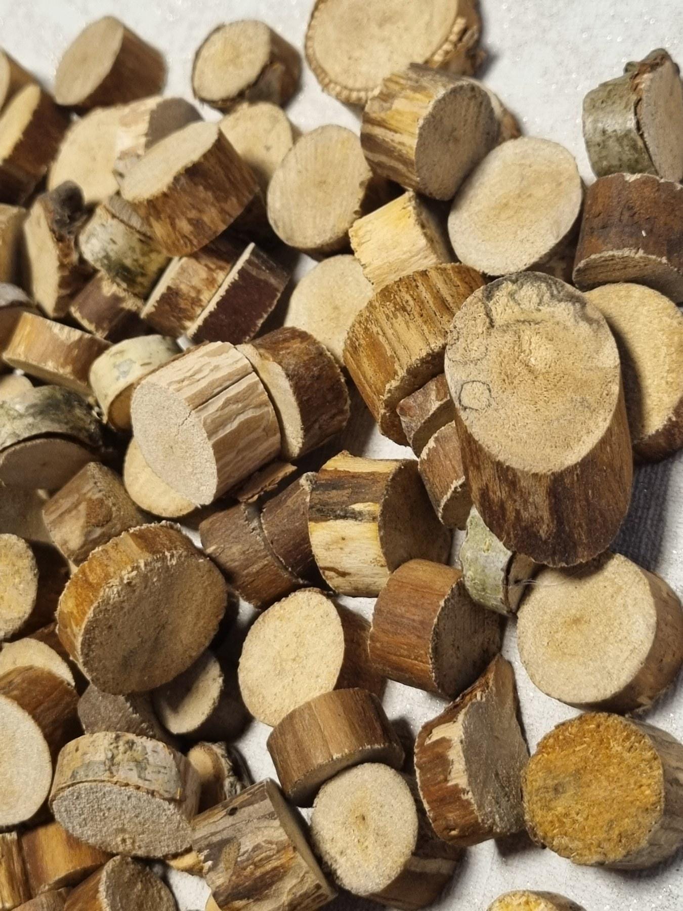 130 Small Birch Wood Slices – Barkless Craft Rounds