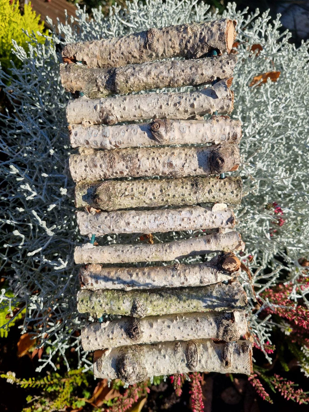 Natural Bendy Birch Wood Ladder/Tunnel – Safe Chew Toy for Hamsters, Mice, Birds