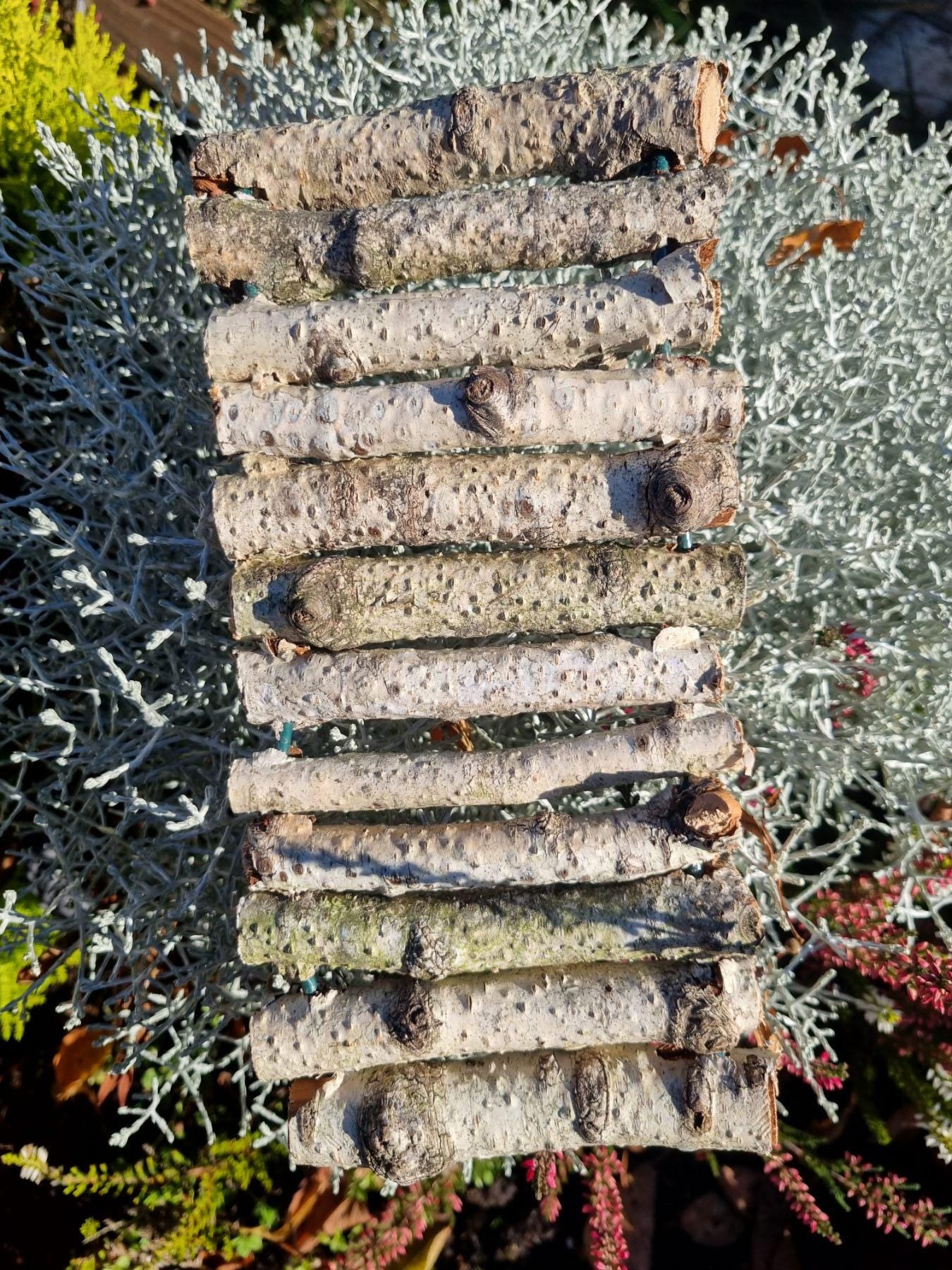 Natural Bendy Birch Wood Ladder/Tunnel – Safe Chew Toy for Hamsters, Mice, Birds