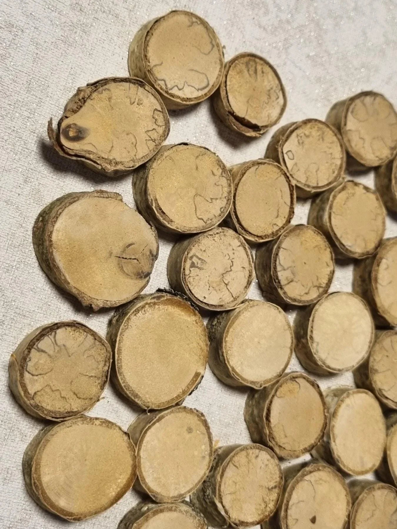 Set of 35 Dried Birch Wood Slices for Crafts - Smooth & Polished Natural Wooden Circles - Rustic Wedding Decor