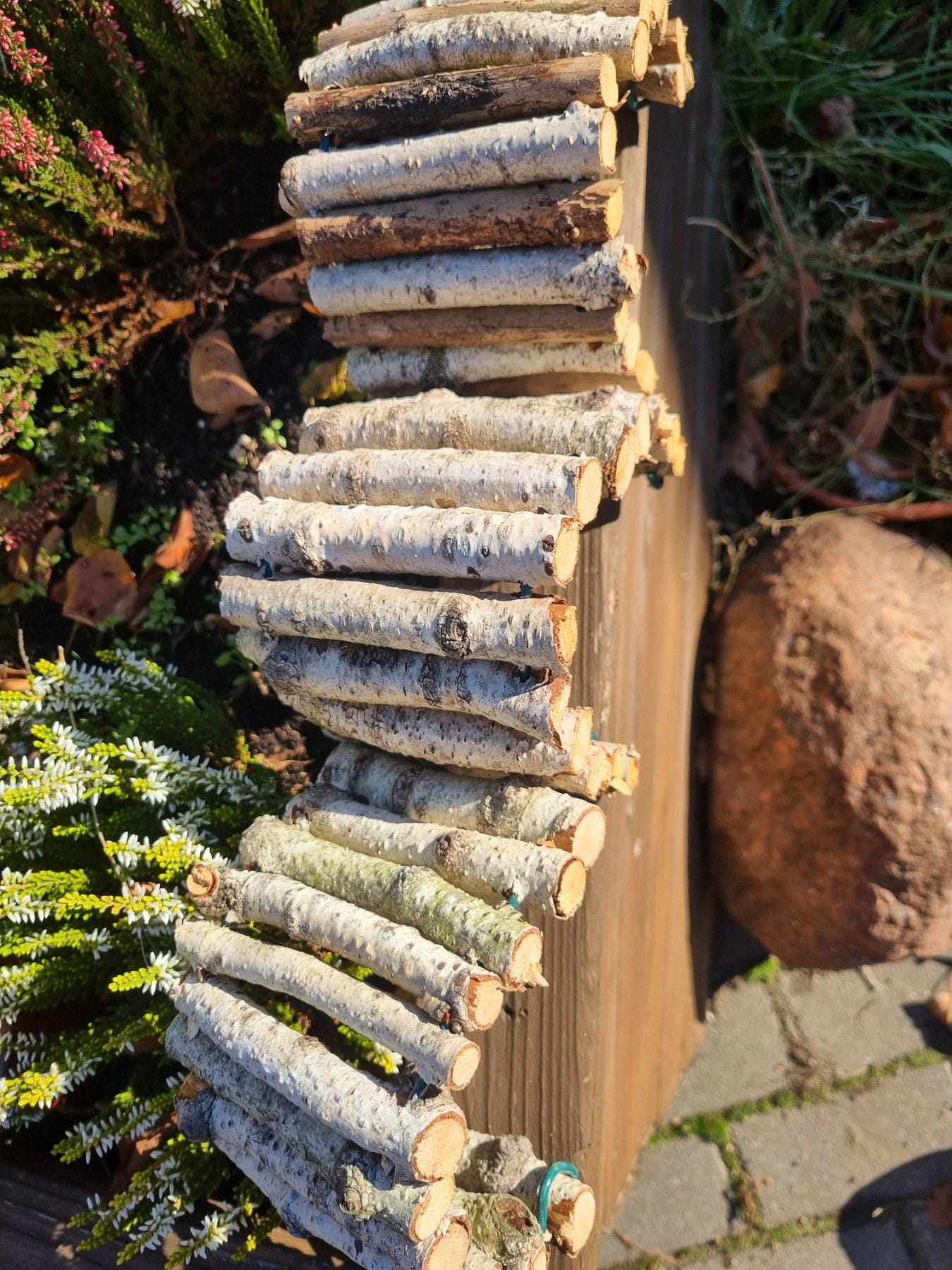 Natural Bendy Birch Wood Ladder/Tunnel – Safe Chew Toy for Hamsters, Mice, Birds