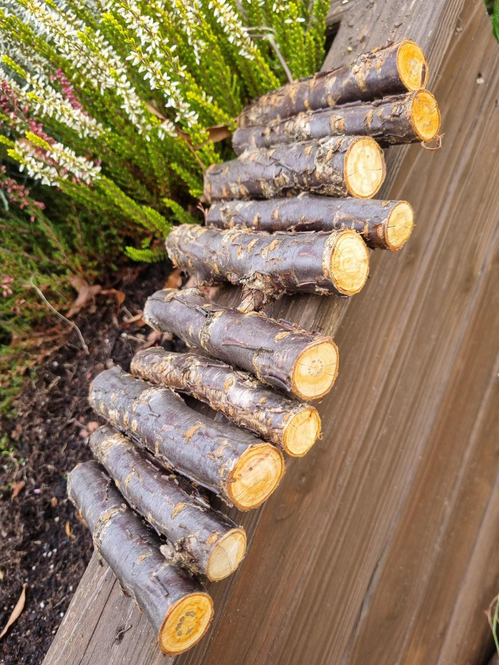 Cherry Wood Chew Sticks for Rabbits, Hamsters, Chinchillas, and Parrots - Natural Wood Gnaw Toys