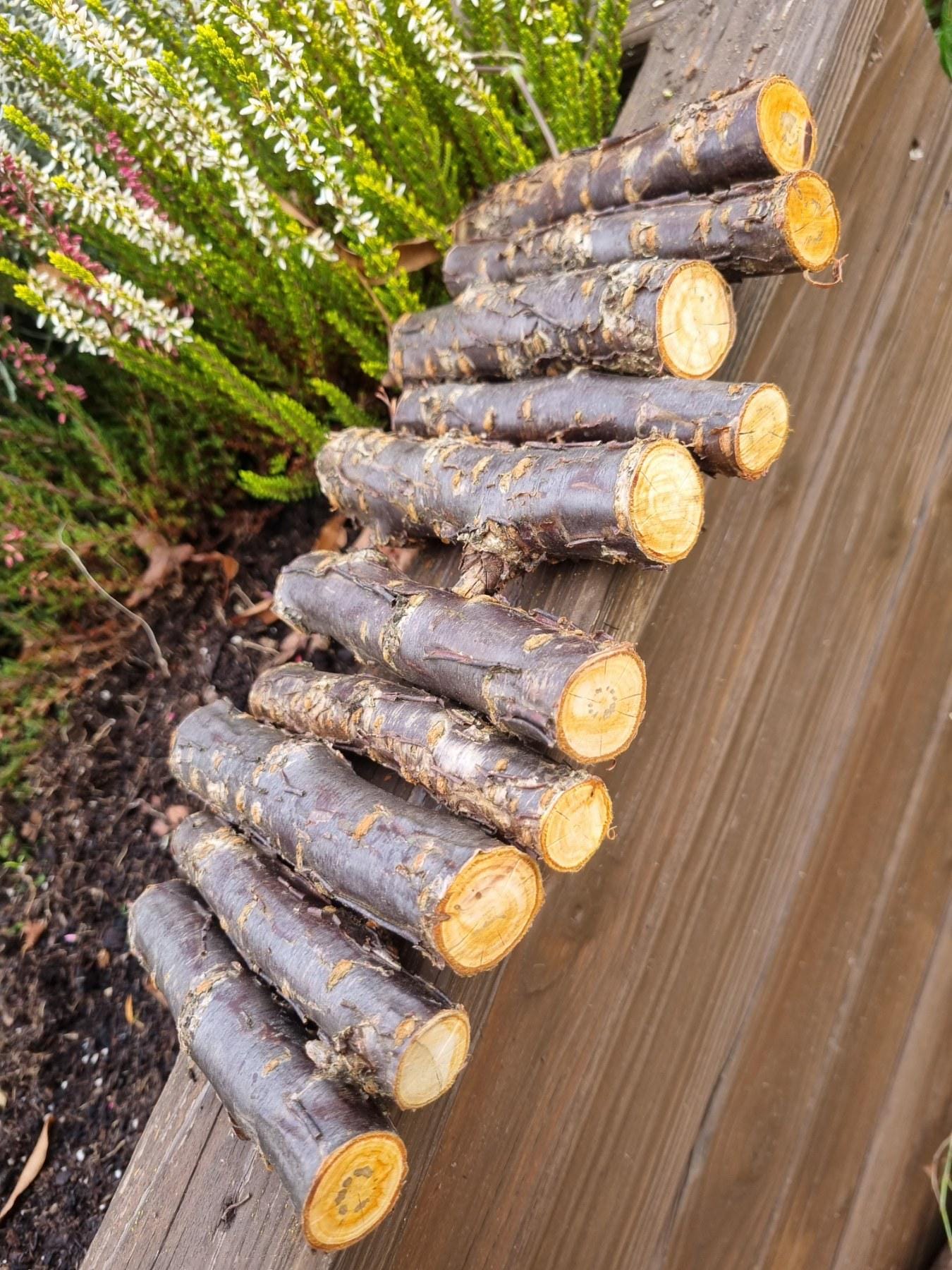 Cherry Wood Chew Sticks for Rabbits, Hamsters, Chinchillas, and Parrots - Natural Wood Gnaw Toys