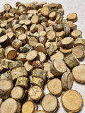 Tiny Birch Wood Slices Bulk Set | Mini Log Discs for Fairy Garden, Dollhouse Miniatures