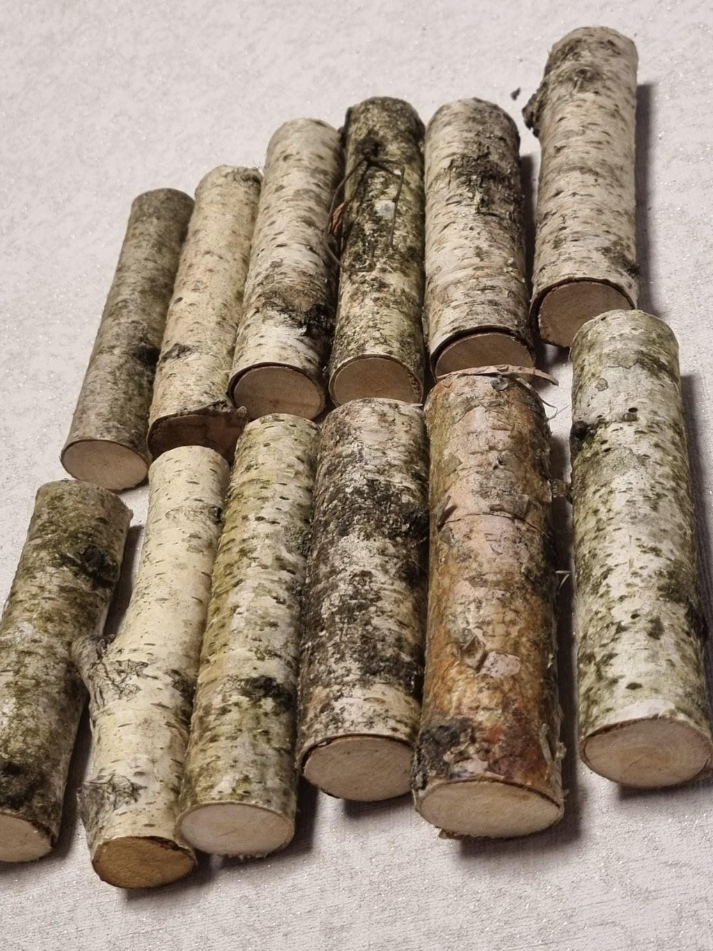 Birch Wood Sticks – Small Logs for Arts, Crafts, 12-Piece Set, Untreated Lithuanian Wood