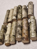 Birch Wood Sticks – Small Logs for Arts, Crafts, 12-Piece Set, Untreated Lithuanian Wood