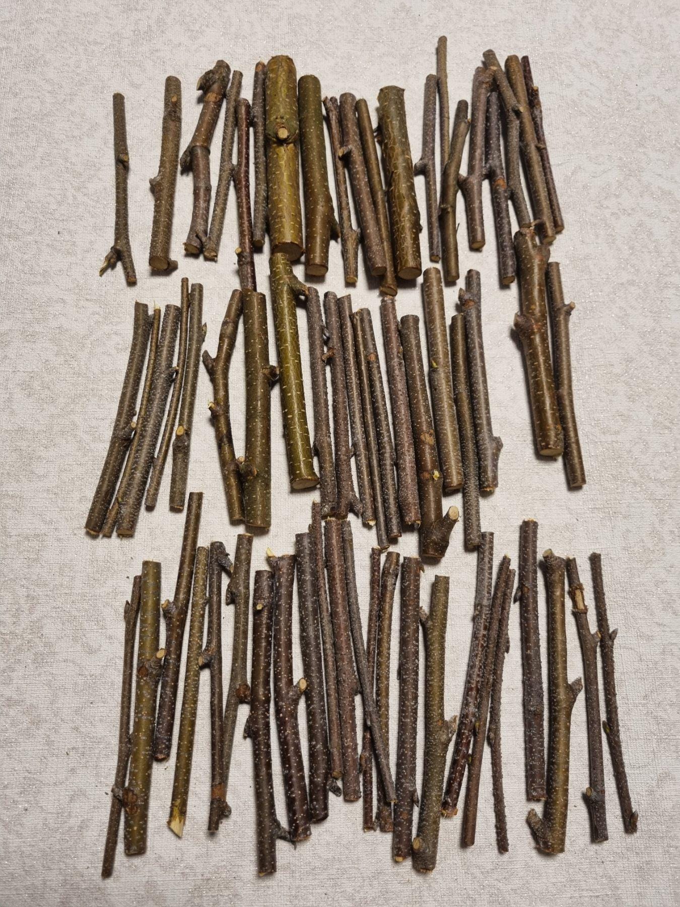 Small Birch Twigs – 60 Pack, 4 Inch Wood Sticks for Crafts