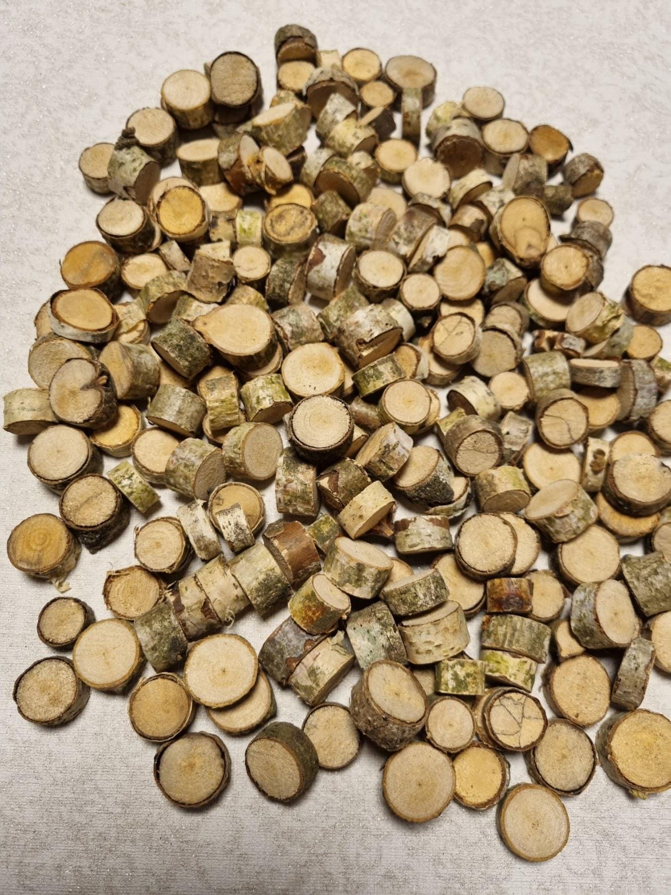 Tiny Birch Wood Slices Bulk Set | Mini Log Discs for Fairy Garden, Dollhouse Miniatures